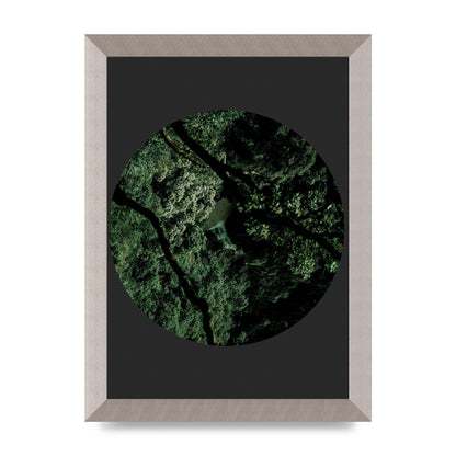 Black Back Green Plant Disc Series Two Printed Poster - A4 framed