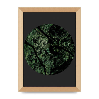 Black Back Green Plant Disc Series Two Printed Poster - A4 framed