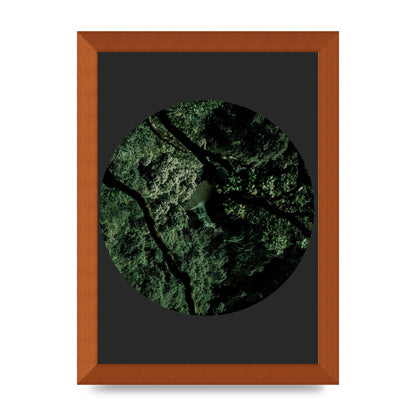 Black Back Green Plant Disc Series Two Printed Poster - A4 framed