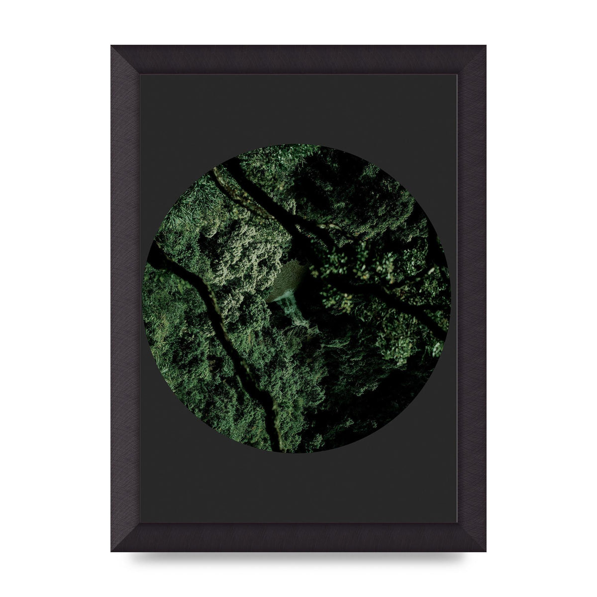 Black Back Green Plant Disc Series Two Printed Poster - A4 framed