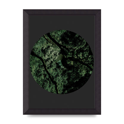 Black Back Green Plant Disc Series Two Printed Poster - A4 framed