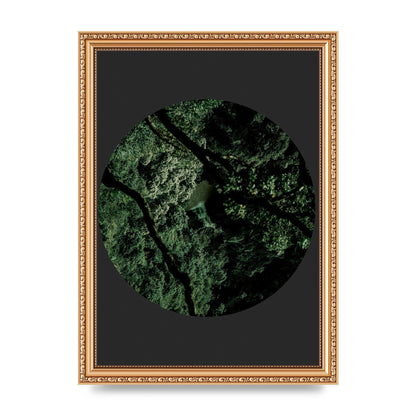 Black Back Green Plant Disc Series Two Printed Poster - A4 framed