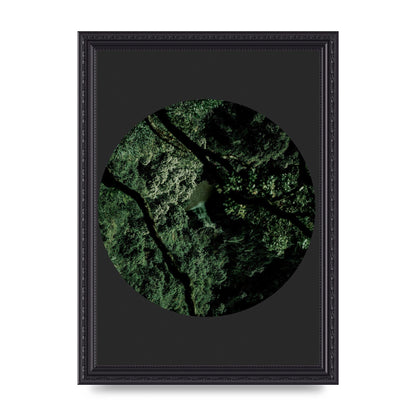 Black Back Green Plant Disc Series Two Printed Poster - A4 framed