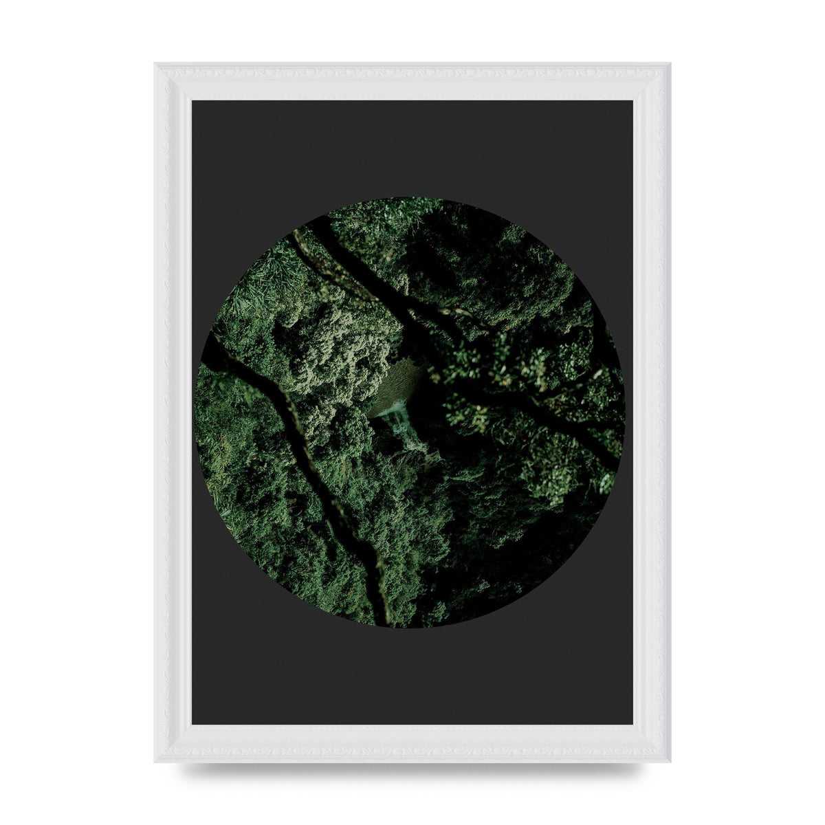 Black Back Green Plant Disc Series Two Printed Poster - A4 framed