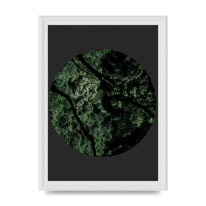 Black Back Green Plant Disc Series Two Printed Poster - A4 framed