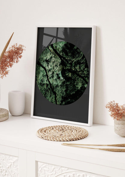 Black Back Green Plant Disc Series Two Printed Poster - hall 1