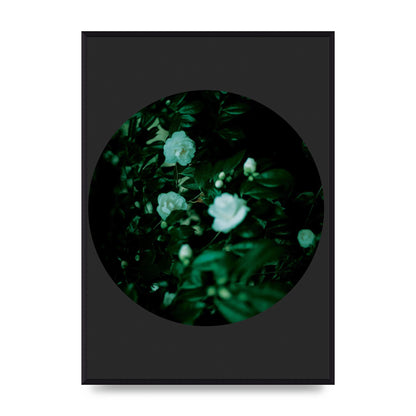 Black Back Green Plant Disc Series Three Wall Art - A2 framed