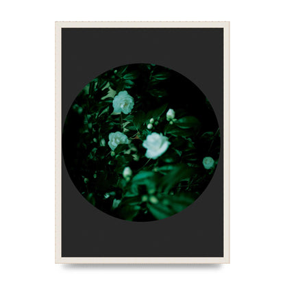 Black Back Green Plant Disc Series Three Wall Art - A2 framed