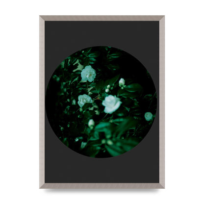 Black Back Green Plant Disc Series Three Wall Art - A2 framed
