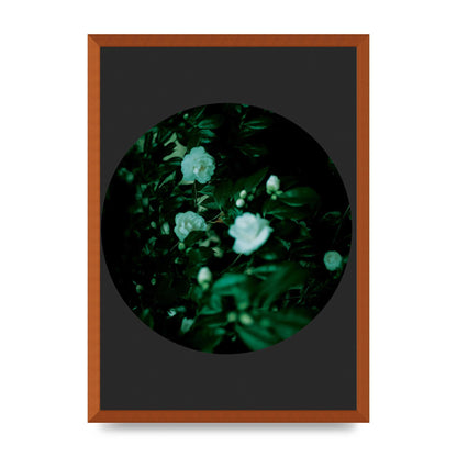 Black Back Green Plant Disc Series Three Wall Art - A2 framed