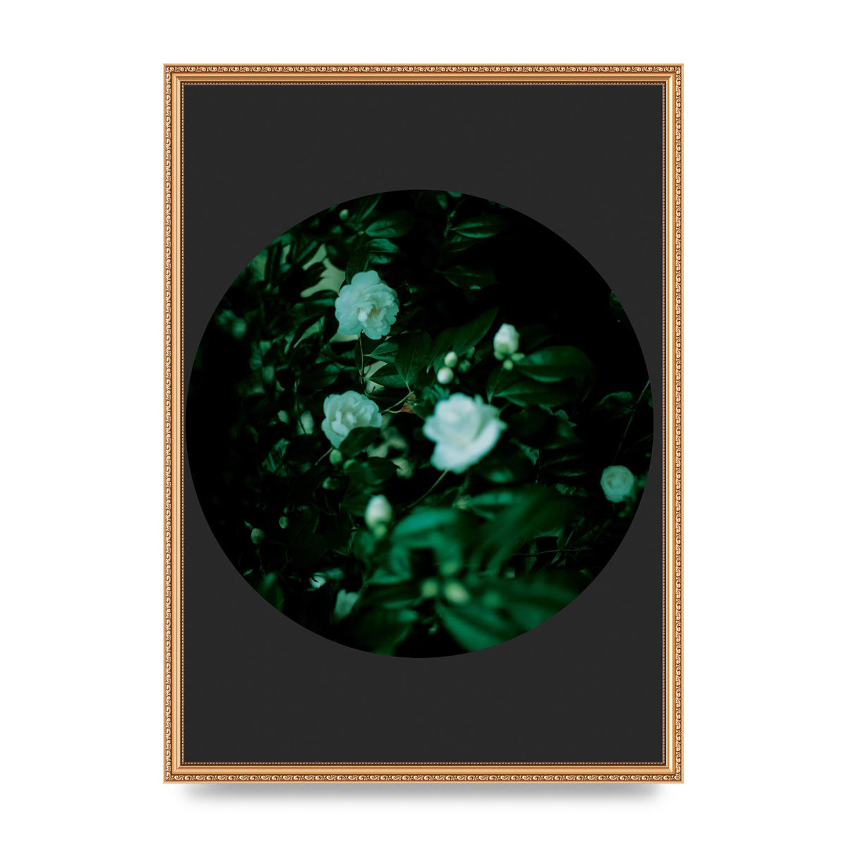 Black Back Green Plant Disc Series Three Wall Art - A2 framed
