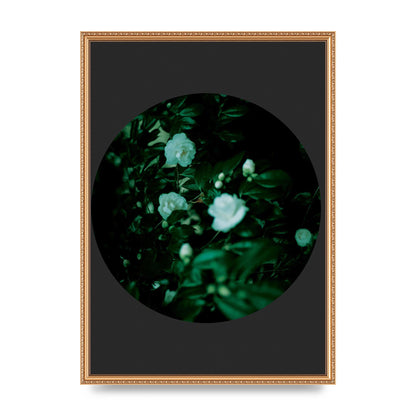 Black Back Green Plant Disc Series Three Wall Art - A2 framed