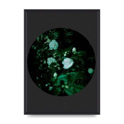 Black Back Green Plant Disc Series Three Wall Art - A2 framed