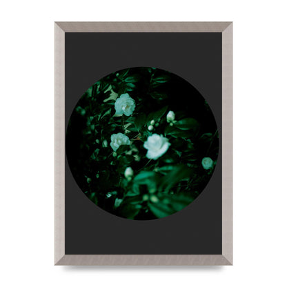 Black Back Green Plant Disc Series Three Wall Art - A3 framed