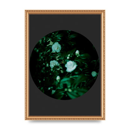 Black Back Green Plant Disc Series Three Wall Art - A3 framed