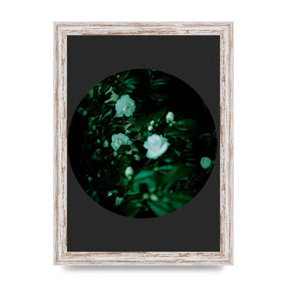Black Back Green Plant Disc Series Three Wall Art - A4 framed