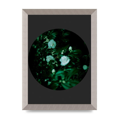 Black Back Green Plant Disc Series Three Wall Art - A4 framed