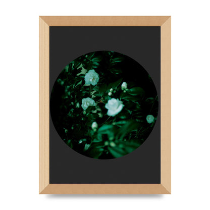 Black Back Green Plant Disc Series Three Wall Art - A4 framed