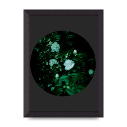 Black Back Green Plant Disc Series Three Wall Art - A4 framed