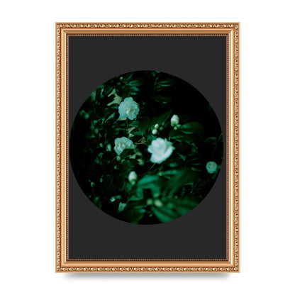 Black Back Green Plant Disc Series Three Wall Art - A4 framed