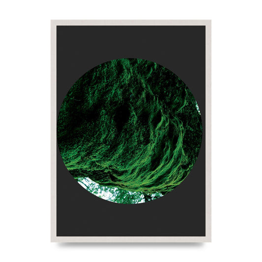 Black Back Green Plant Disc Series Four Art For The Home - A2 framed