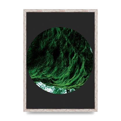 Black Back Green Plant Disc Series Four Art For The Home - A2 framed