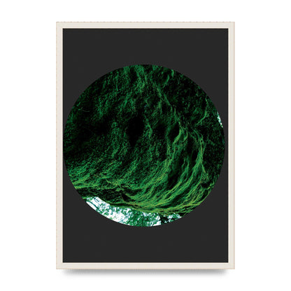 Black Back Green Plant Disc Series Four Art For The Home - A2 framed