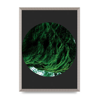 Black Back Green Plant Disc Series Four Art For The Home - A2 framed