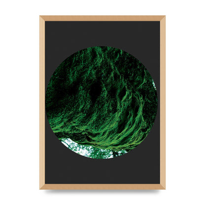 Black Back Green Plant Disc Series Four Art For The Home - A2 framed