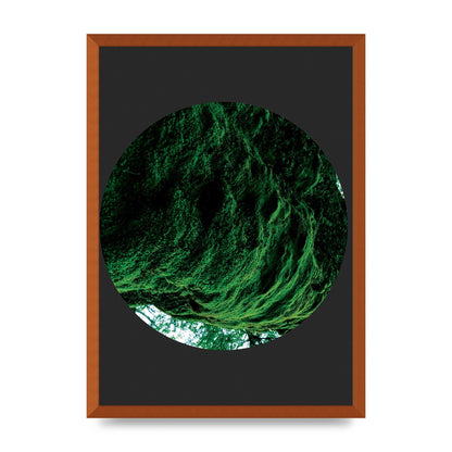 Black Back Green Plant Disc Series Four Art For The Home - A2 framed