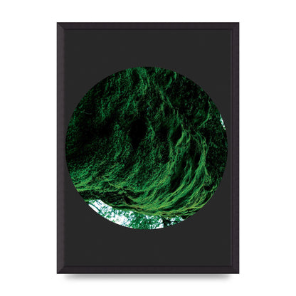 Black Back Green Plant Disc Series Four Art For The Home - A2 framed