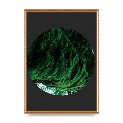 Black Back Green Plant Disc Series Four Art For The Home - A2 framed