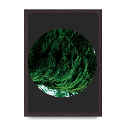 Black Back Green Plant Disc Series Four Art For The Home - A3 framed