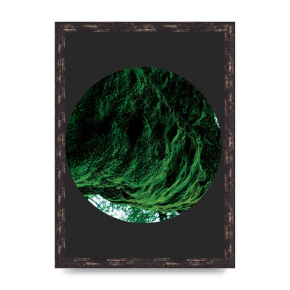 Black Back Green Plant Disc Series Four Art For The Home - A3 framed