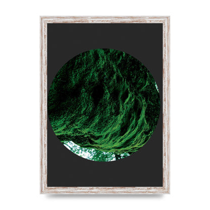Black Back Green Plant Disc Series Four Art For The Home - A3 framed