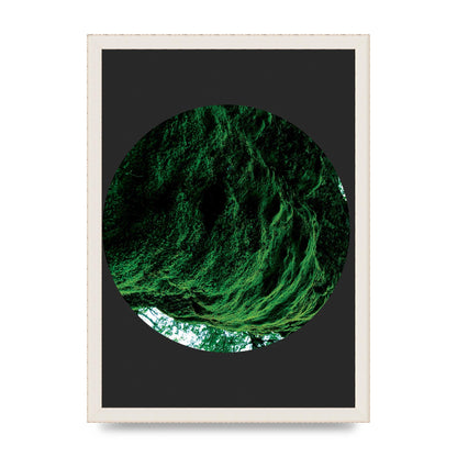 Black Back Green Plant Disc Series Four Art For The Home - A3 framed