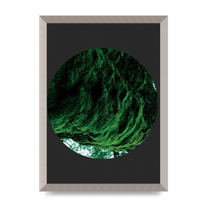 Black Back Green Plant Disc Series Four Art For The Home - A3 framed