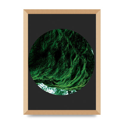 Black Back Green Plant Disc Series Four Art For The Home - A3 framed