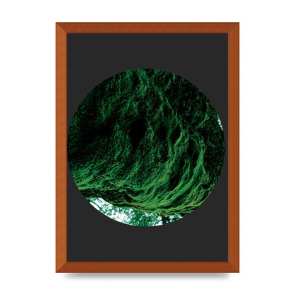 Black Back Green Plant Disc Series Four Art For The Home - A3 framed