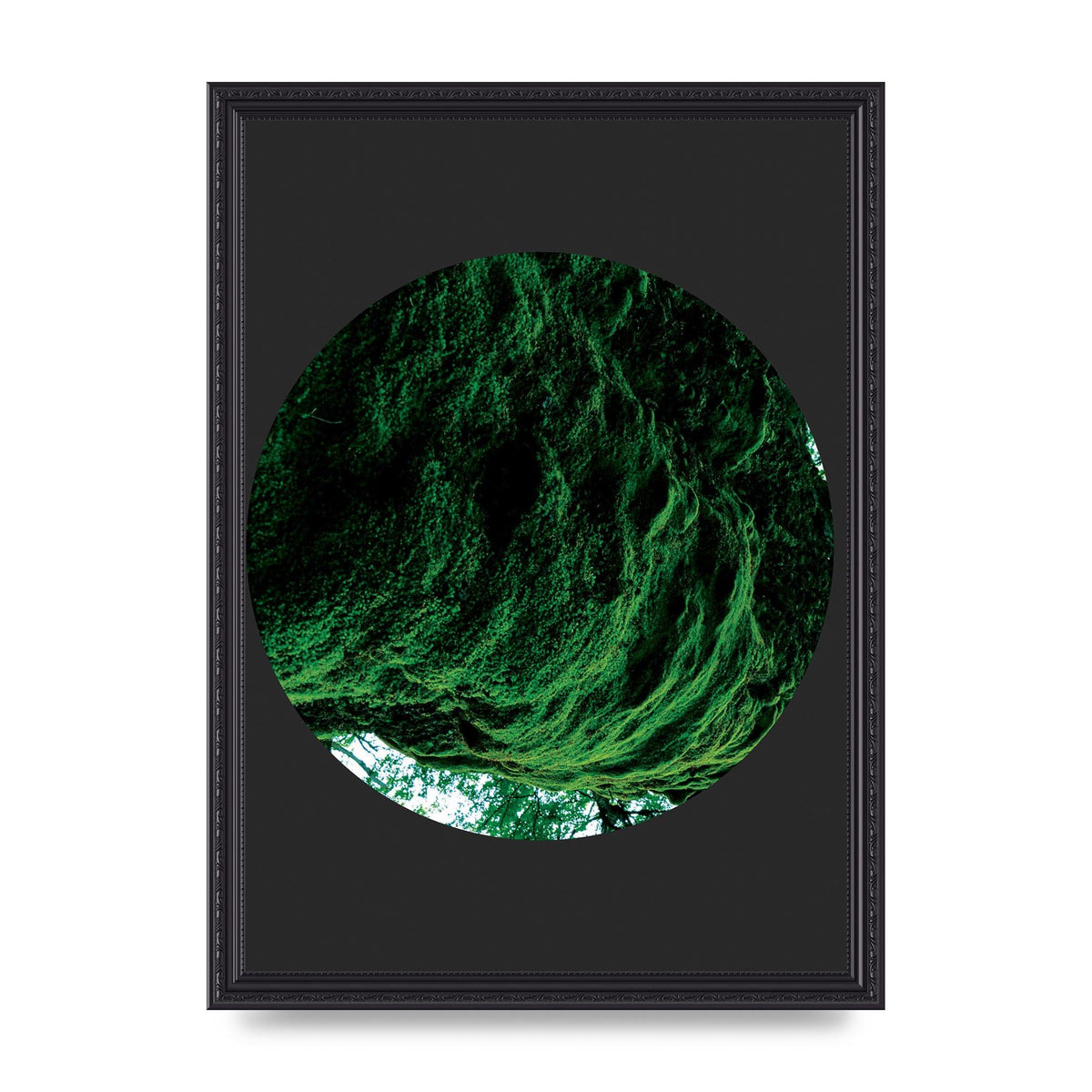 Black Back Green Plant Disc Series Four Art For The Home - A3 framed