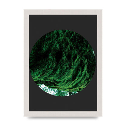 Black Back Green Plant Disc Series Four Art For The Home - A4 framed