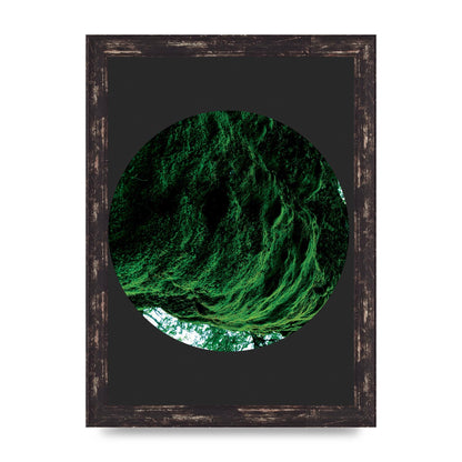 Black Back Green Plant Disc Series Four Art For The Home - A4 framed