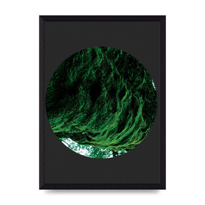 Black Back Green Plant Disc Series Four Art For The Home - A4 framed