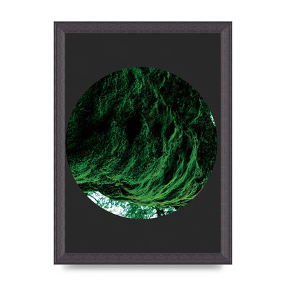 Black Back Green Plant Disc Series Four Art For The Home - A4 framed