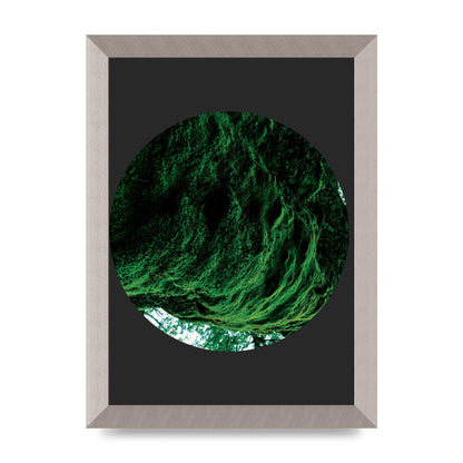 Black Back Green Plant Disc Series Four Art For The Home - A4 framed