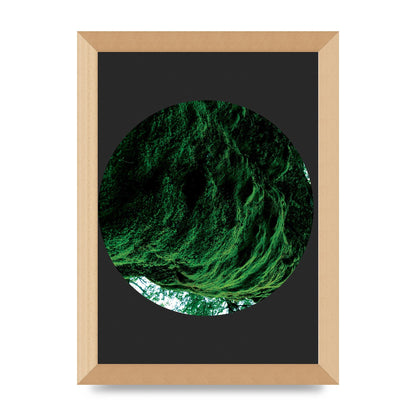 Black Back Green Plant Disc Series Four Art For The Home - A4 framed