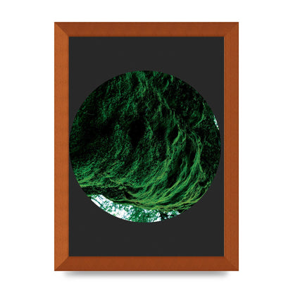 Black Back Green Plant Disc Series Four Art For The Home - A4 framed