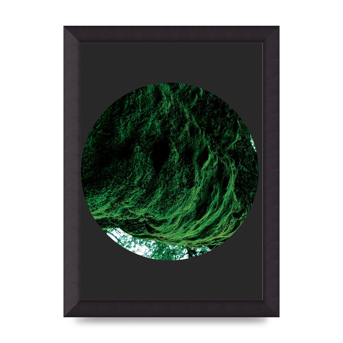 Black Back Green Plant Disc Series Four Art For The Home - A4 framed