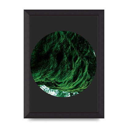 Black Back Green Plant Disc Series Four Art For The Home - A4 framed