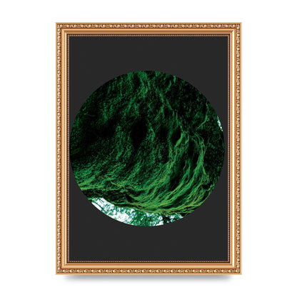Black Back Green Plant Disc Series Four Art For The Home - A4 framed